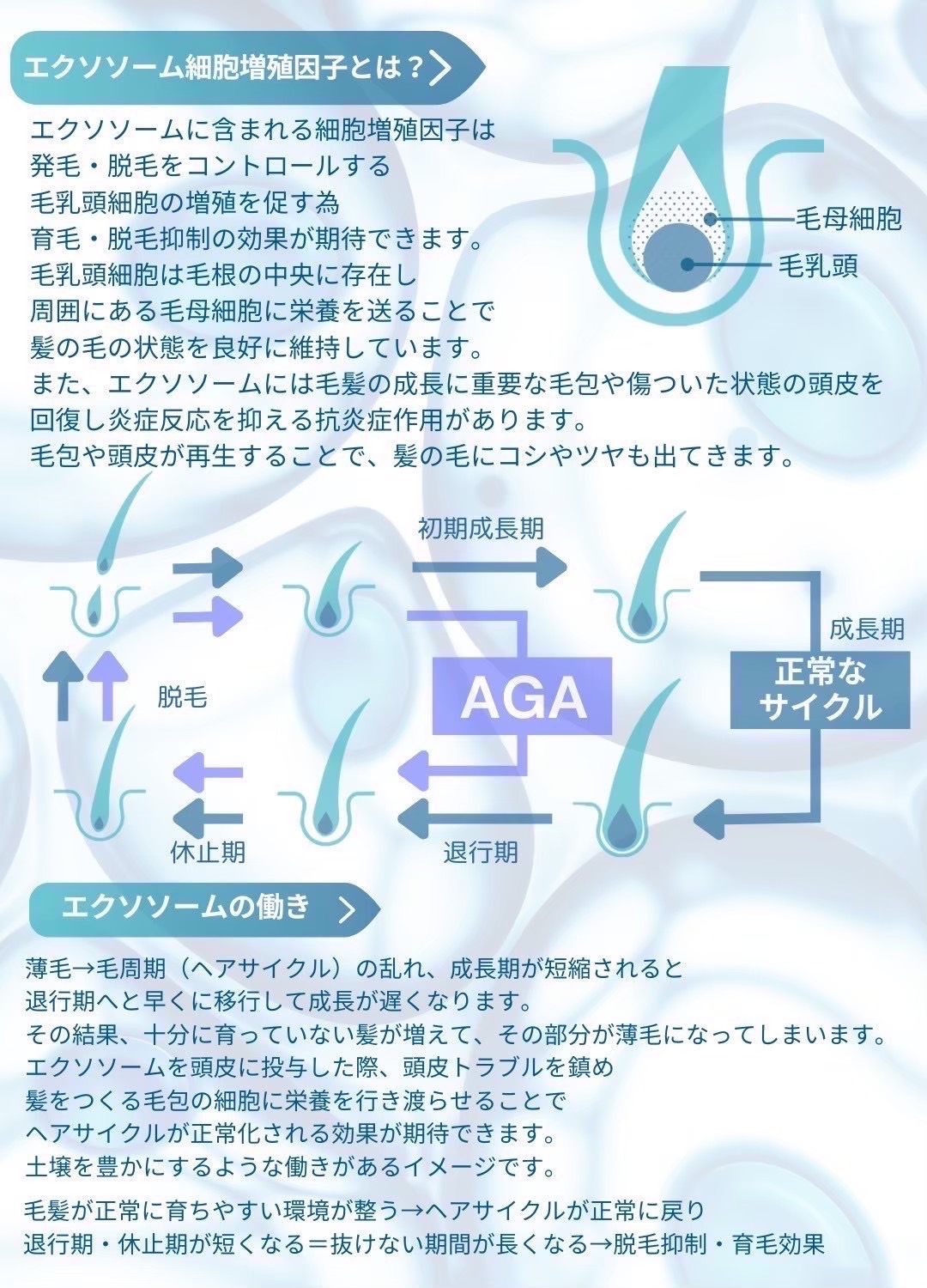 エクソソーム細胞増殖因子とは？