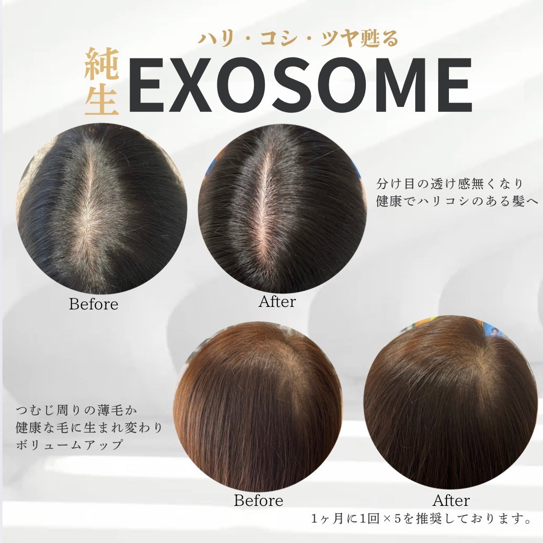 ハリ・コシ・ツヤ甦る